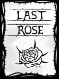 Last Rose