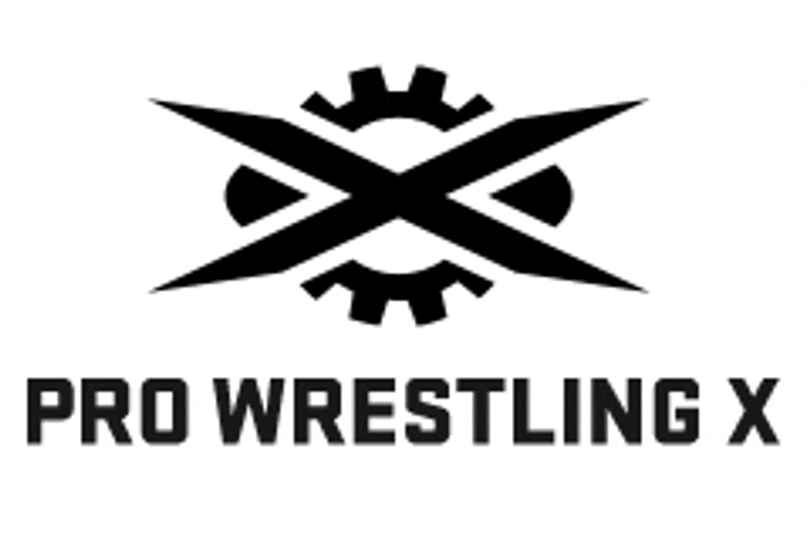 Pro Wrestling X