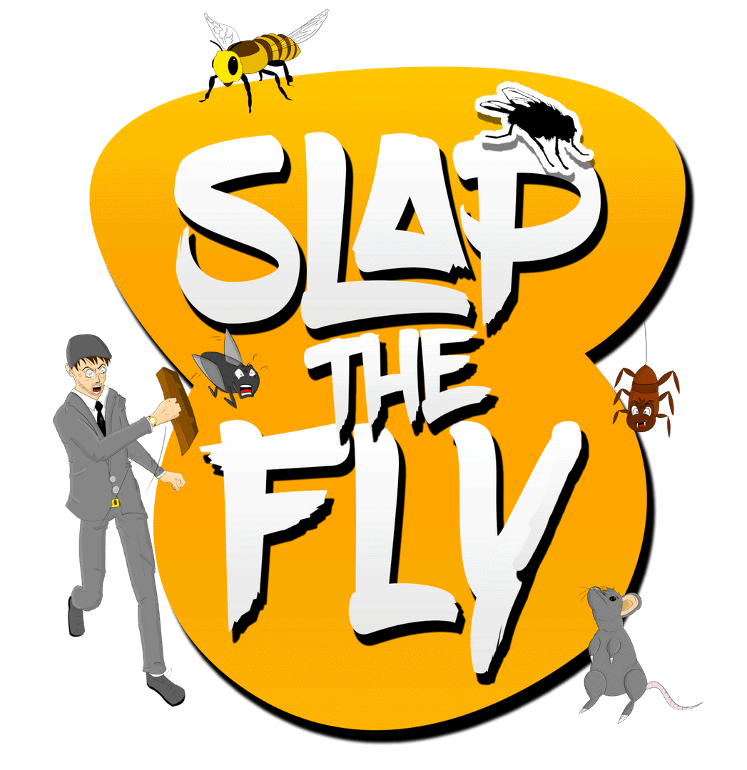 Slap The Fly