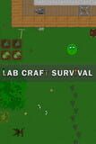 Lab Craft Survival