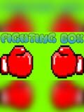 FIGHTING BOX