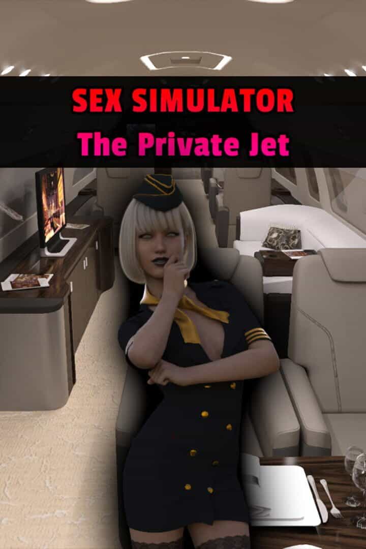 Sex Simulator: The Private Jet