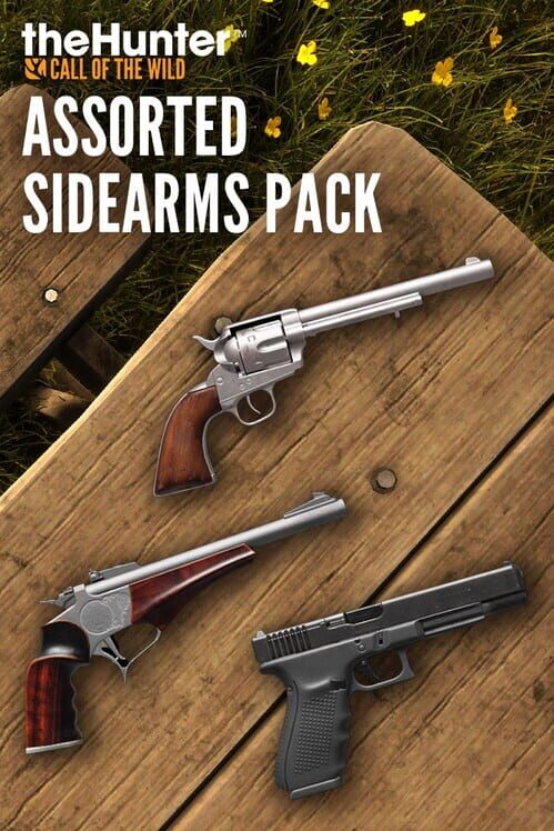 TheHunter: Call of the Wild - Assorted Sidearms Pack