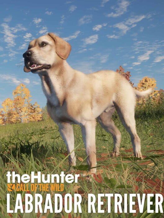 TheHunter: Call of the Wild - Labrador Retriever