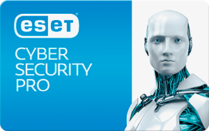 Buy Software: ESET Cyber Security Pro NINTENDO