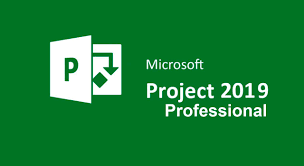 Buy Software: Microsoft Project 2019 Professional PC