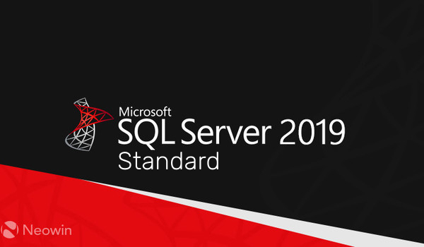 Buy Software: Microsoft SQL Server 2019 Standard NINTENDO