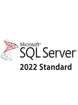 Buy Software: Microsoft SQL Server 2022 Standard NINTENDO
