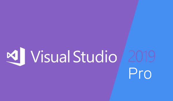 Buy Software: Microsoft Visual Studio 2019 Professional