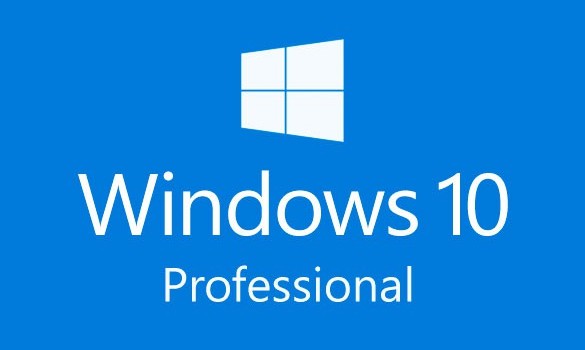 Buy Software: Microsoft Windows 10 Pro NINTENDO