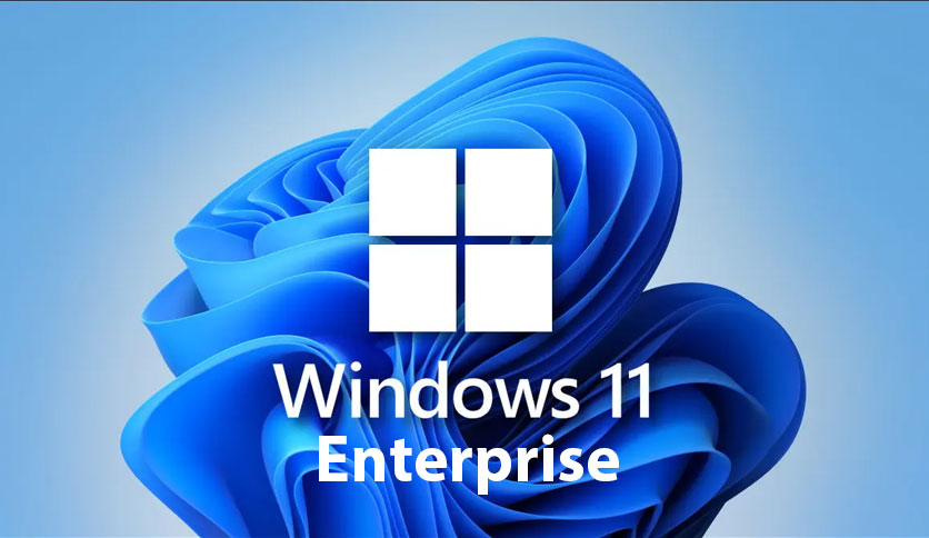 Buy Software: Windows 11 NINTENDO